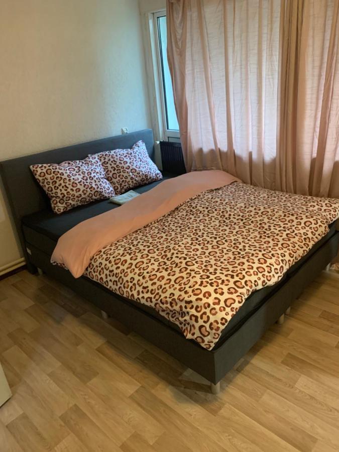 Kantershof 542 阿姆斯特丹 外观 照片